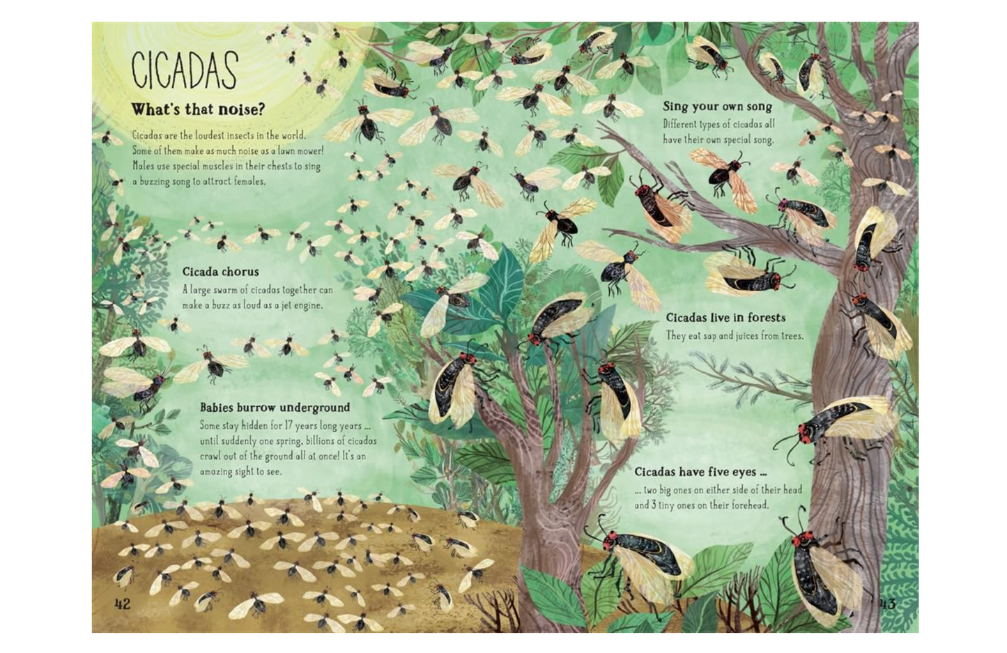 The Big Book of Bugs: 10th Anniversary Edition