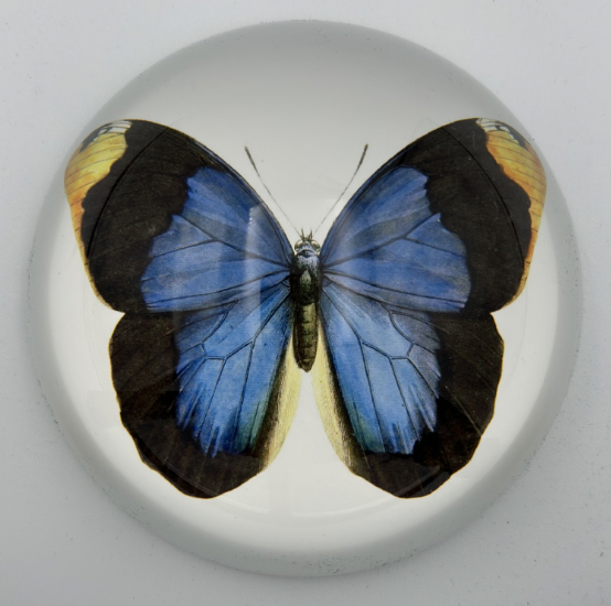 Blue Butterfly Decorative Weight
