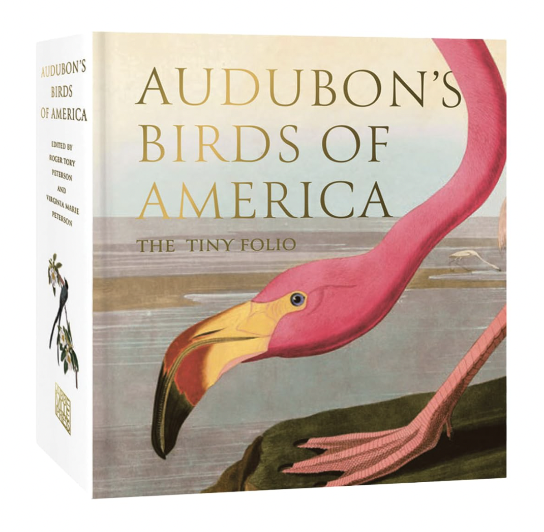 Audubon's Birds of America: The Tiny Folio