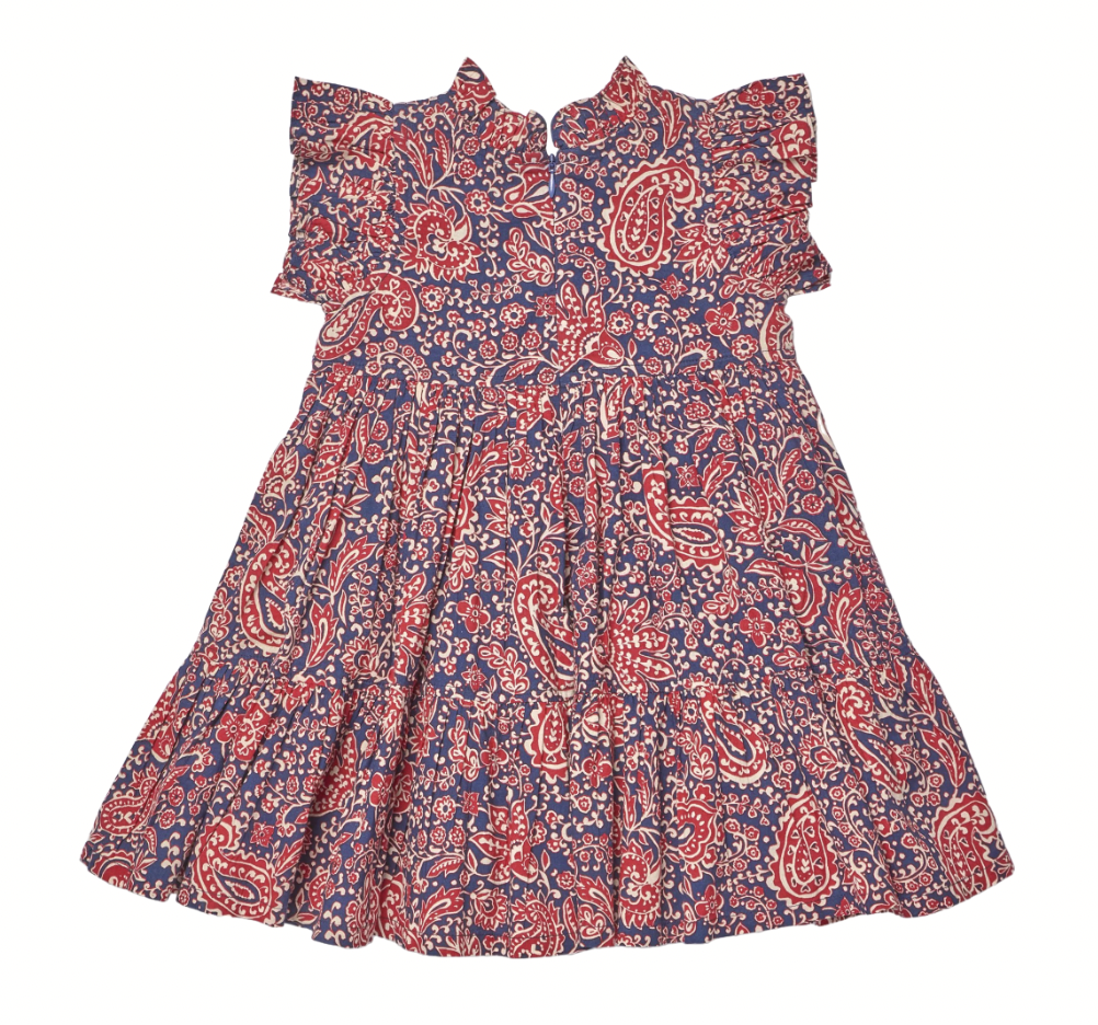 Paisley Vines Jennifer Dress