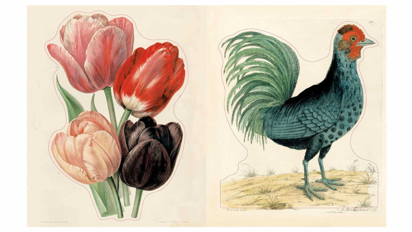 John Derian Sticker Book II