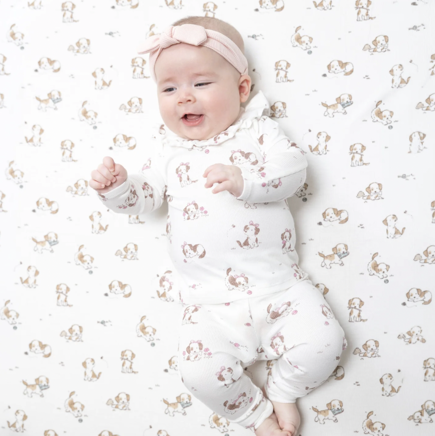 Explorer Puppy Pink Long Sleeve Ruffle Top and Pant