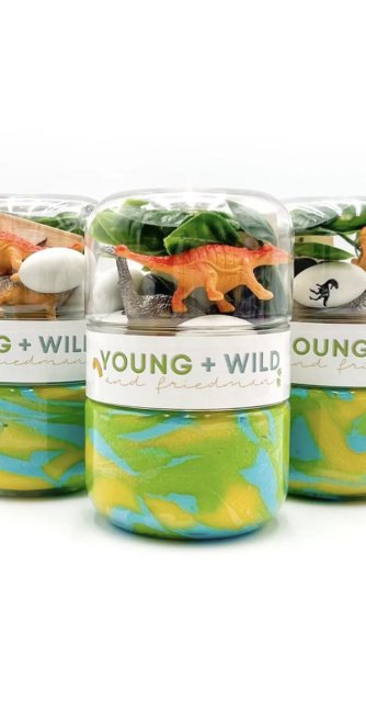 Dinosaur Grab & Go Dough Jars