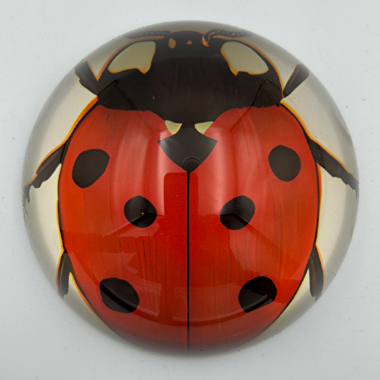 Ladybug Decorative Weight