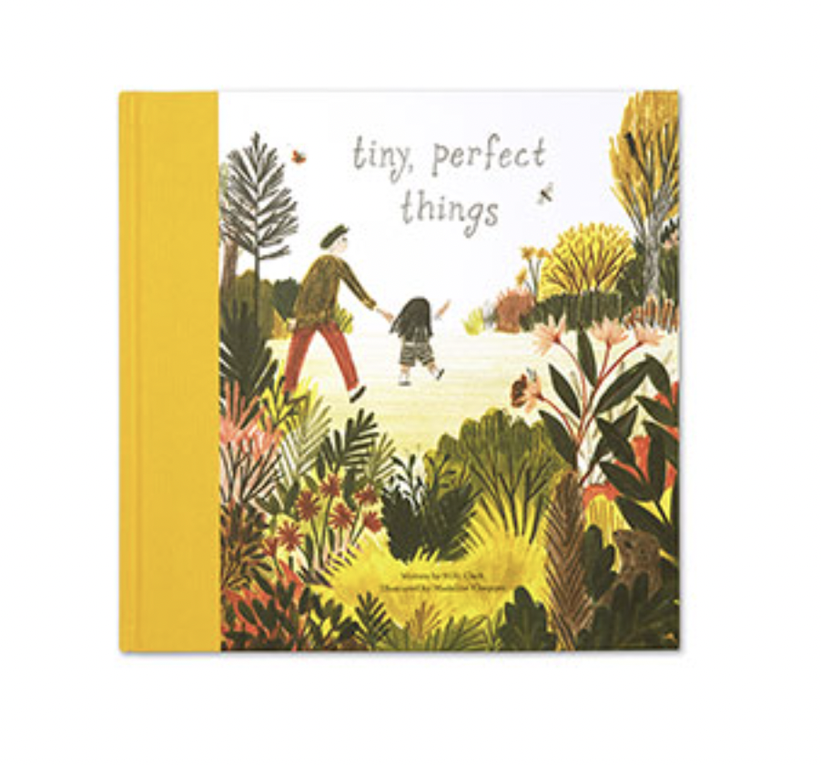Tiny Perfect Things Book