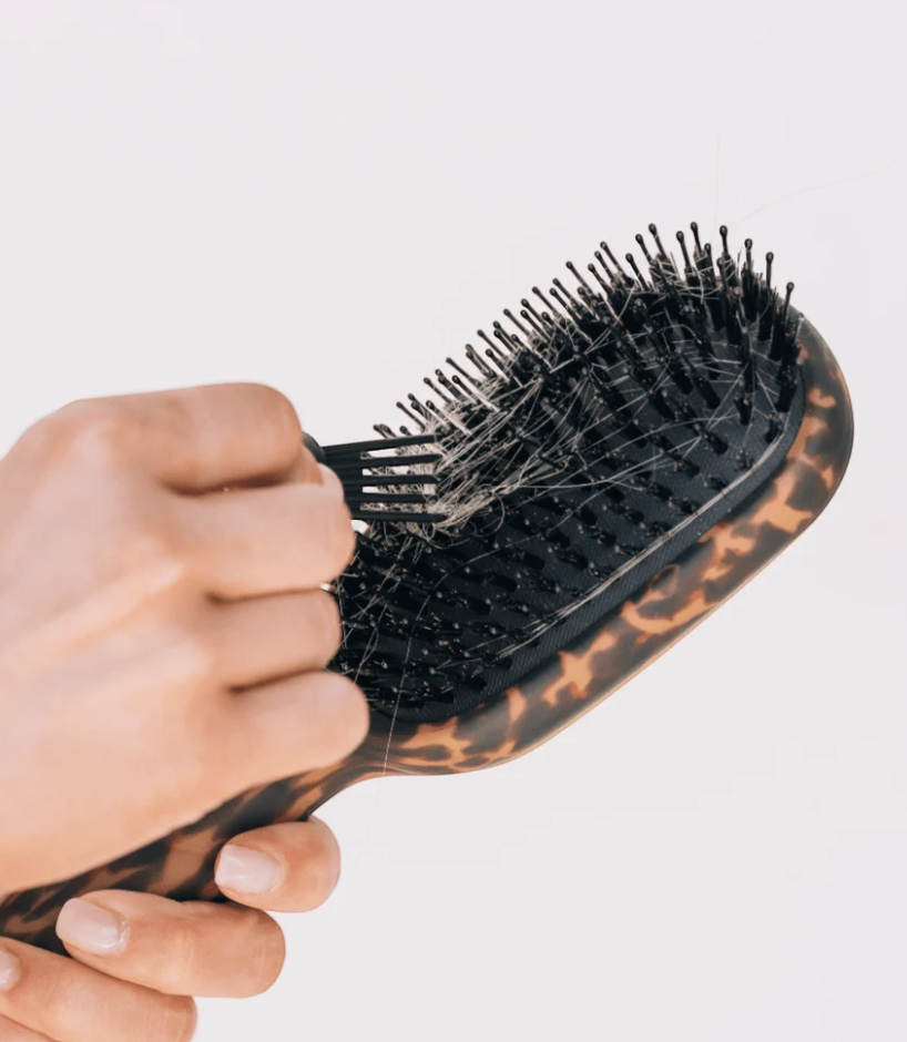 Boar Brush | Full Size | Tortoise