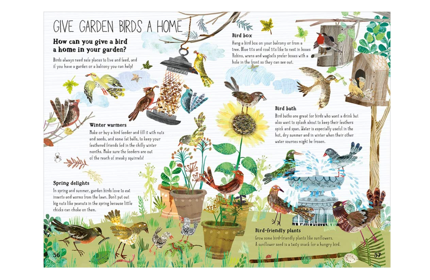 The Big Book of Birds