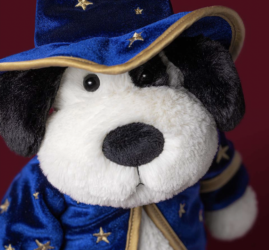 Rufferty Puppy Wizard Outfit