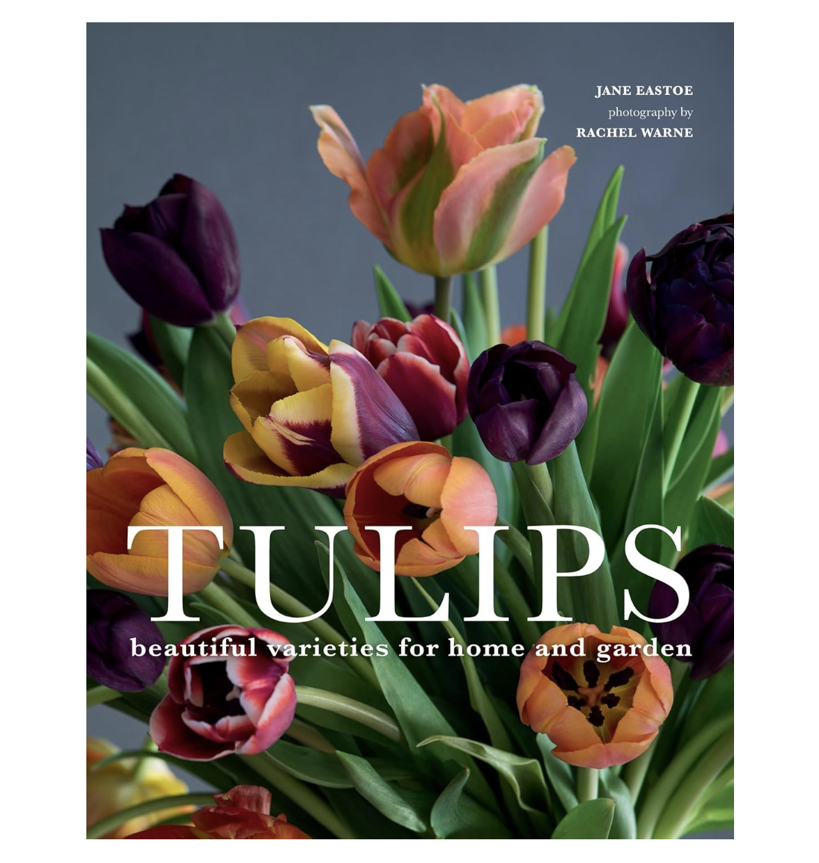 Tulips: Beautiful Varieties for Home and Garden