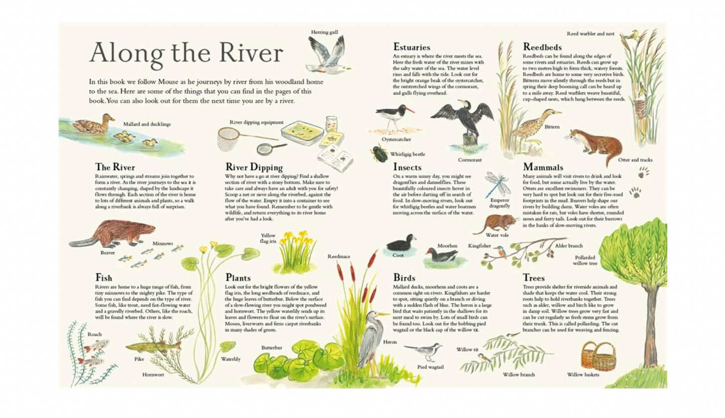Mouse on the River: A Journey Through Nature (Mouse’s Adventures)