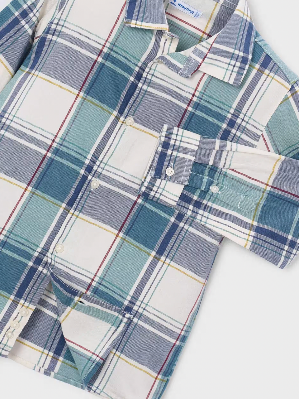 Plaid Button Down Shirt