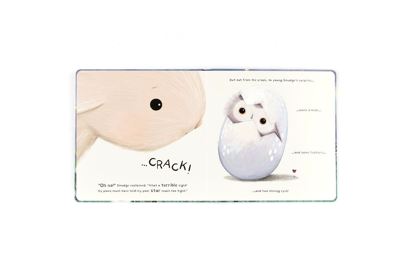 Smudge Rabbit and the Falling Star Book