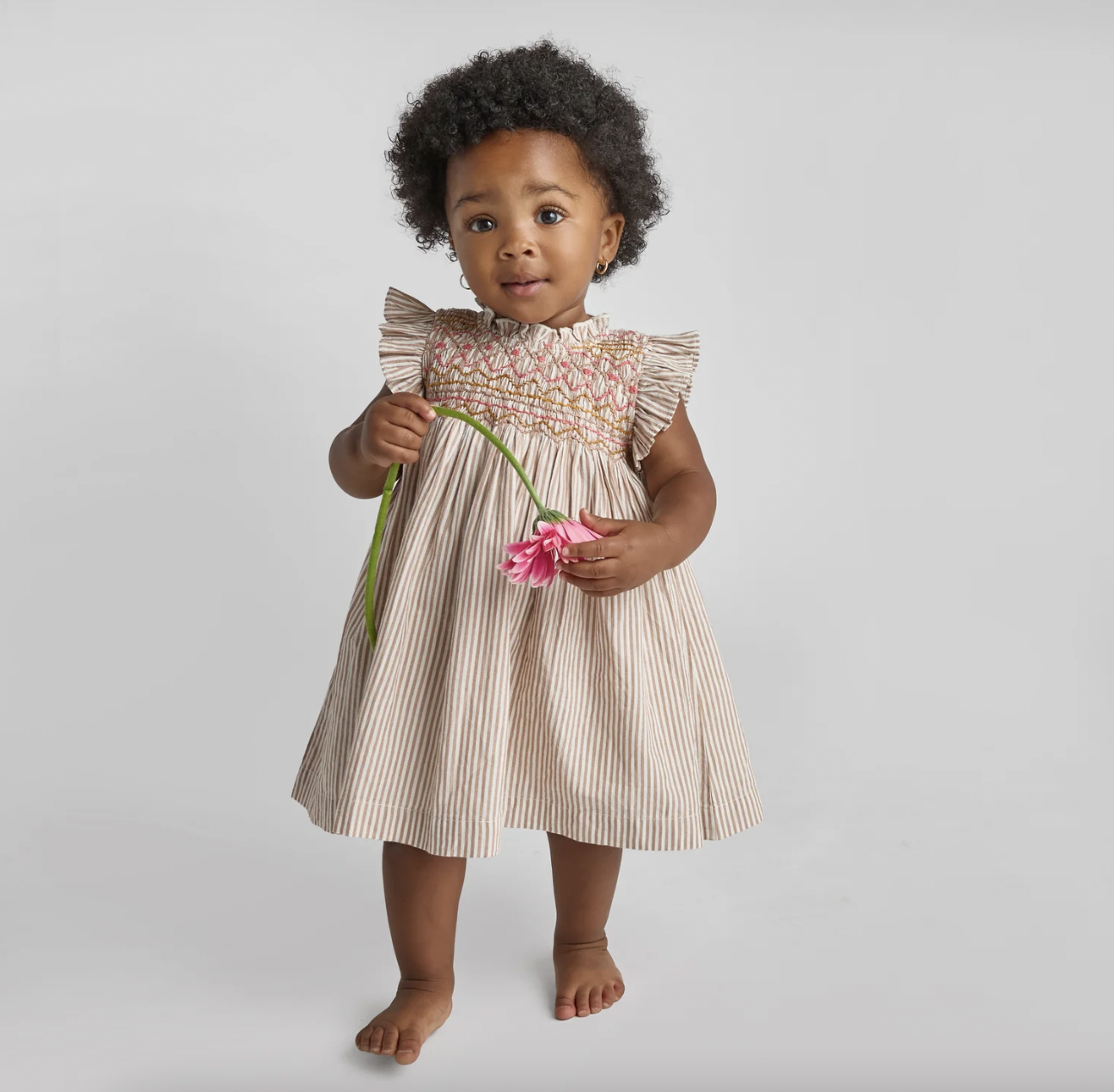 Tawny Brown Stripe and Smocked Stevie Dress + Diaper Cover