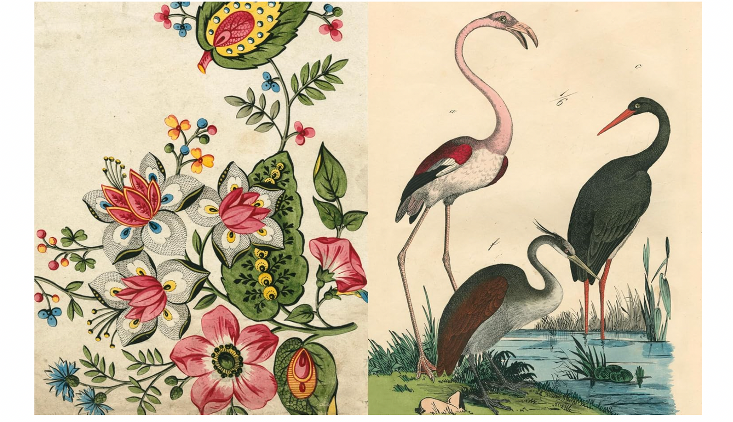 John Derian Picture Book II