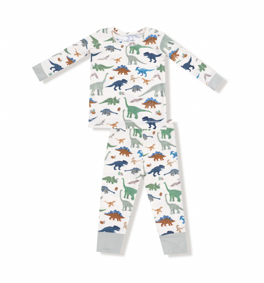 Washy Dinos Long Sleeve Pajamas