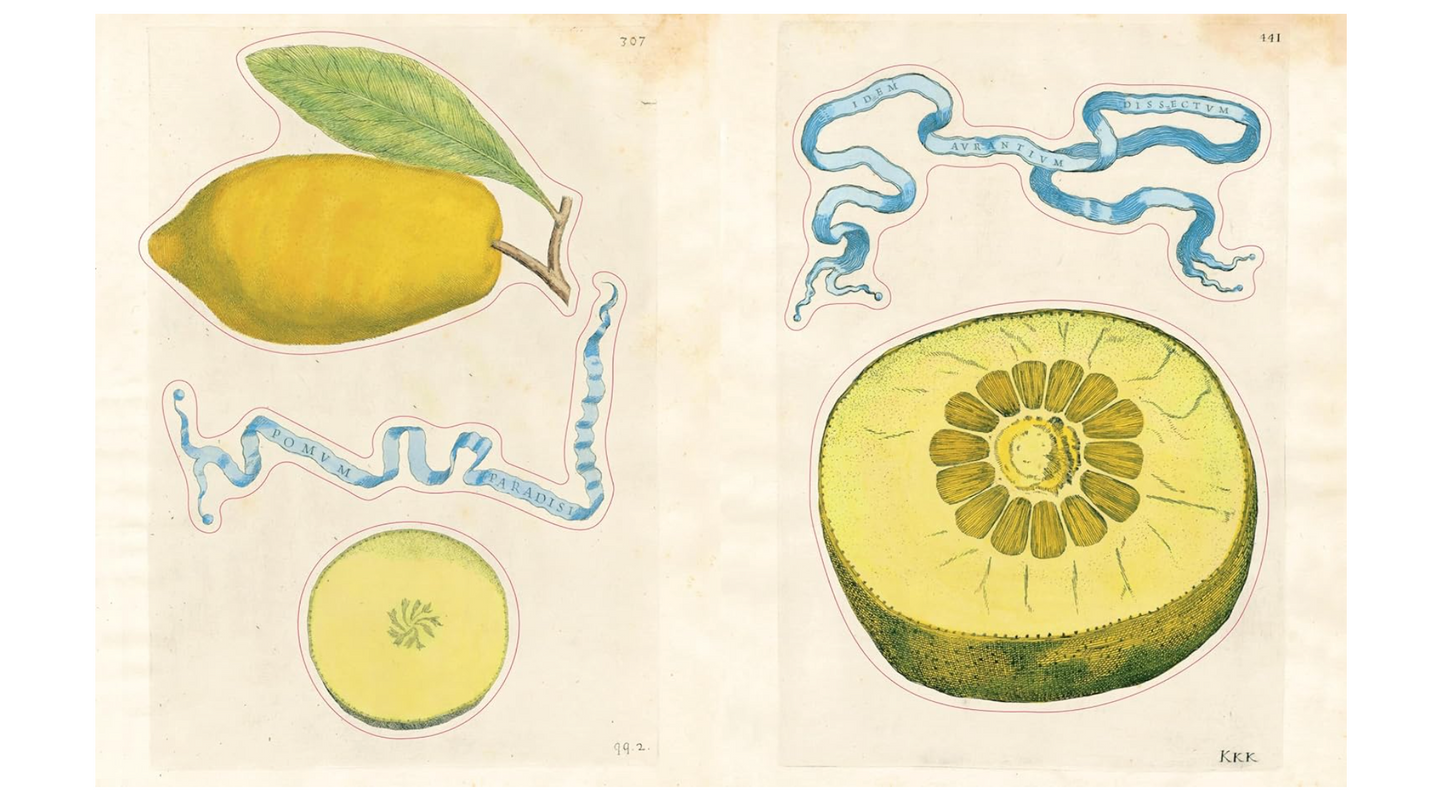 John Derian Sticker Book II