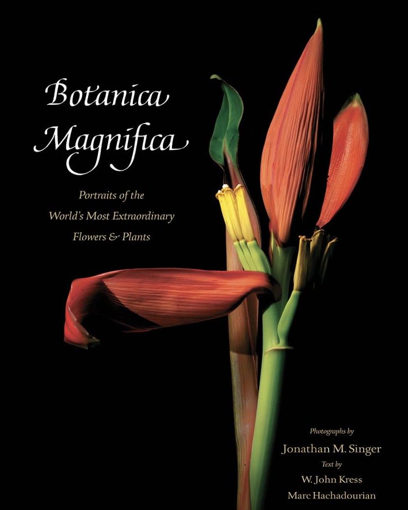 Botanica Magnifica: Portraits of the World's Most Extraordinary Flowers and Plants (Tiny Folio, 28)