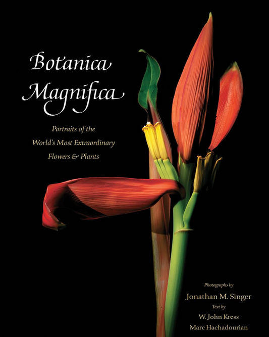 Botanica Magnifica: Portraits of the World's Most Extraordinary Flowers and Plants (Tiny Folio, 28)