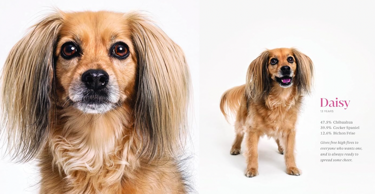 What Kind of Dog is That?