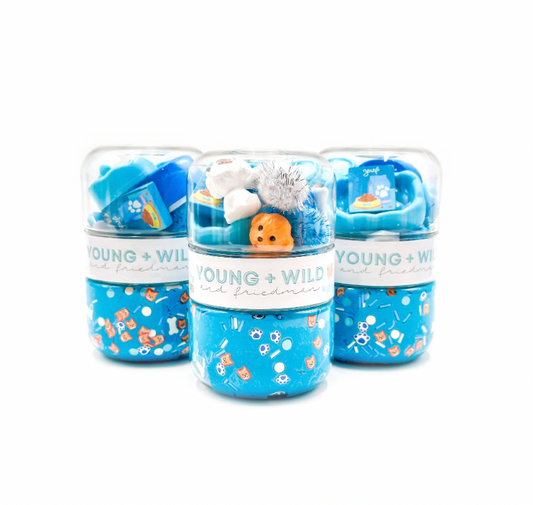 Blue Pet Shop Grab and Go Sensory Dough