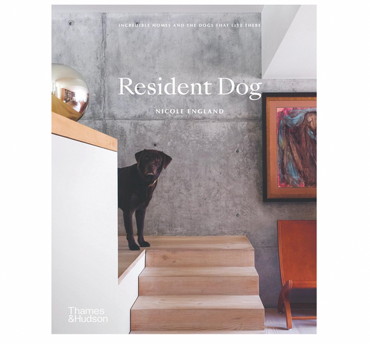 Resident Dog: Incredible Homes and the Dogs That Live There