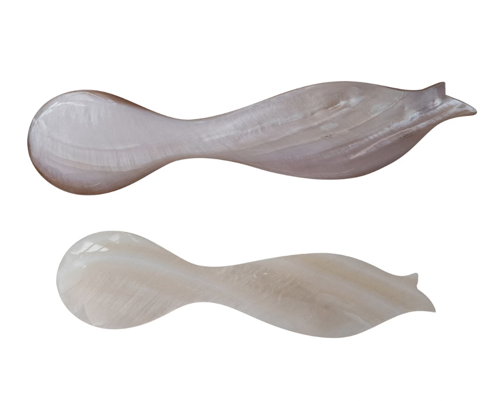 Natural Shell Spoon with Fish Shaped Handle (Each One Will Vary)