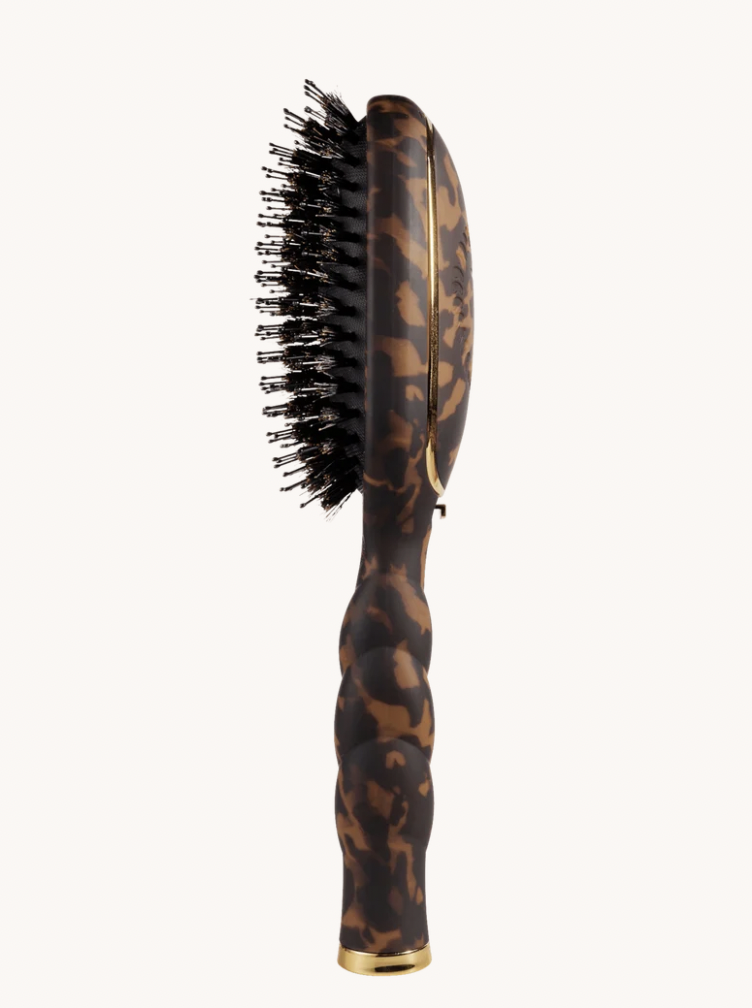 Boar Brush | Full Size | Tortoise