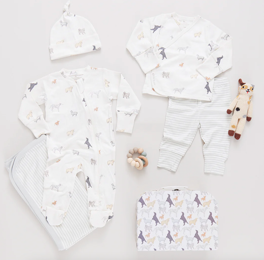 Tiny Dogs Nesting Box Baby Take Home Set