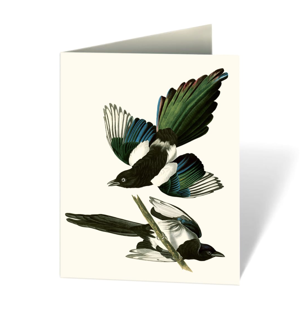 Audubon's Birds of America: Notecard Set