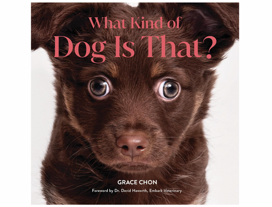 What Kind of Dog is That?