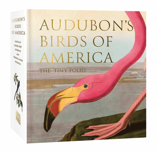 Audubon's Birds of America: The Tiny Folio