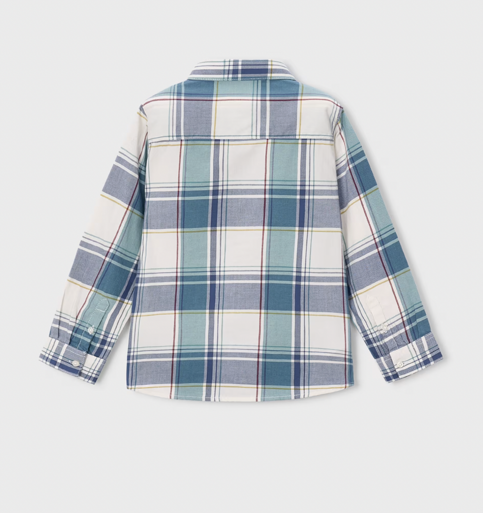 Plaid Button Down Shirt