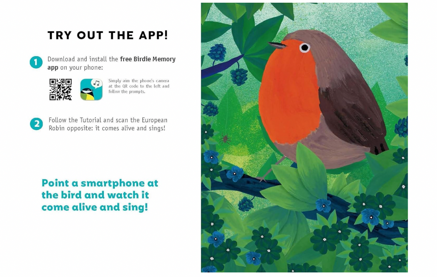 Listen to the Birds Book