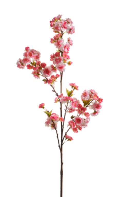 Cherry Blossom Branch