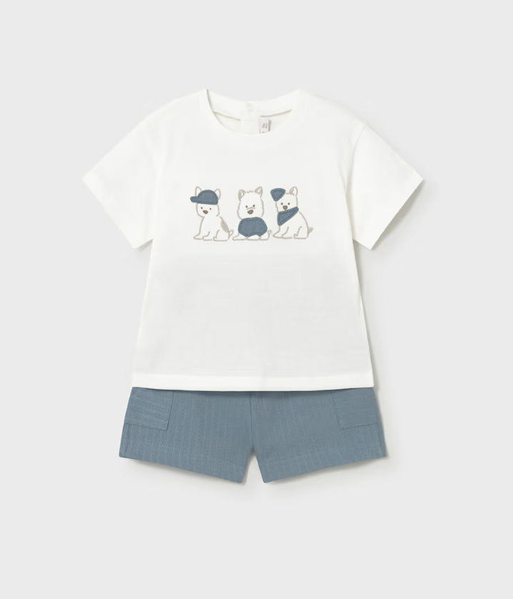Puppy T-Shirt + Short Set