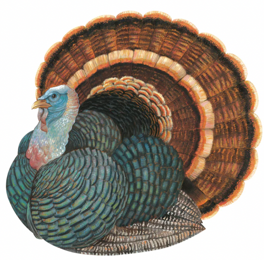 Heritage Turkey Placemats