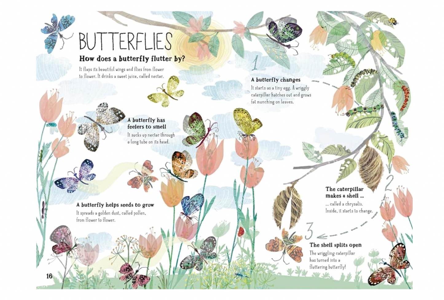 The Big Book of Bugs: 10th Anniversary Edition
