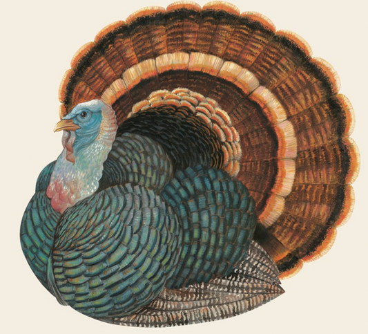Heritage Turkey Napkins