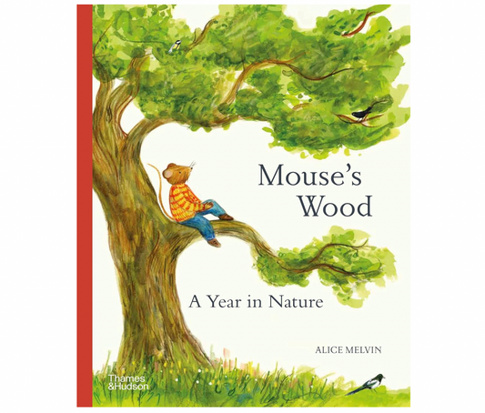 Mouse's Wood: A Year in Nature (Mouse’s Adventures)