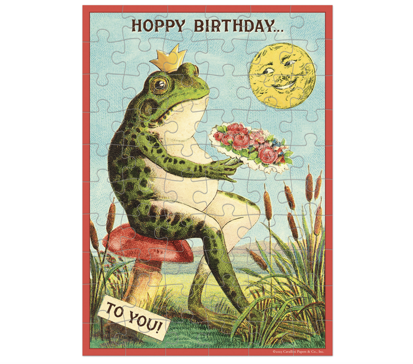 Happy Birthday Frog