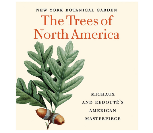 The Trees of North America: Michaux and Redouté's American Masterpiece (Tiny Folio)