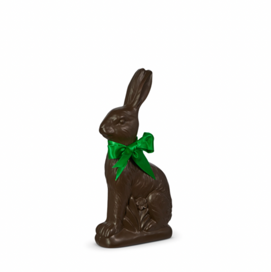 Chocolate Bunny - Medium