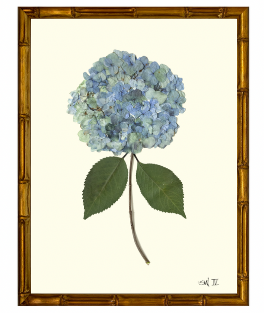 Hydrangea IV with Gold Bamboo Frame