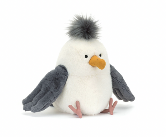 Chip Seagull