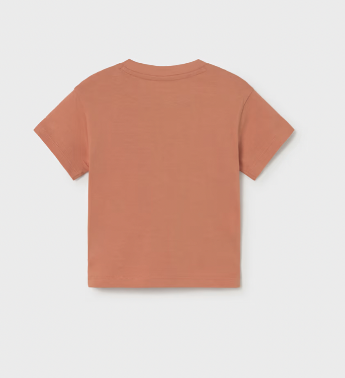 Gecko T-Shirt