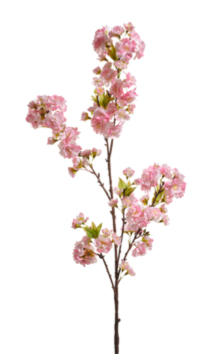Cherry Blossom Branch