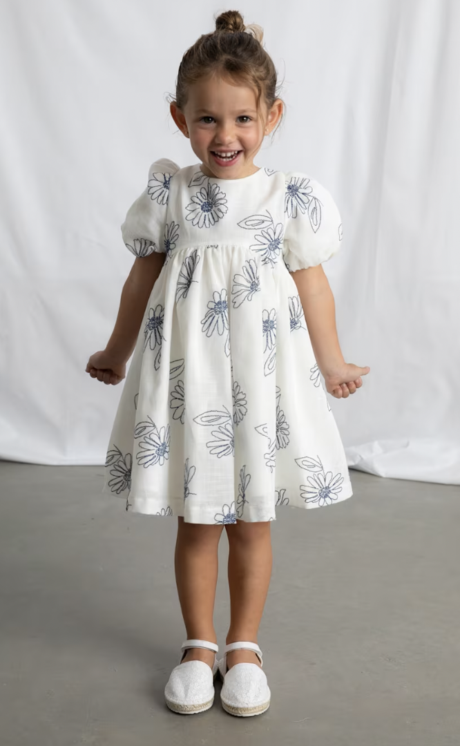 Puff Sleeve Dress with Embroidered Flowers