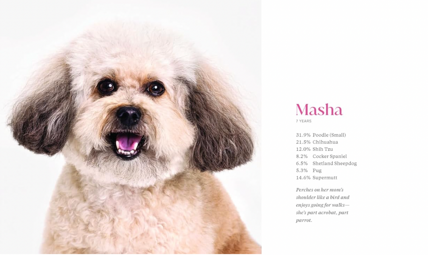 What Kind of Dog is That?