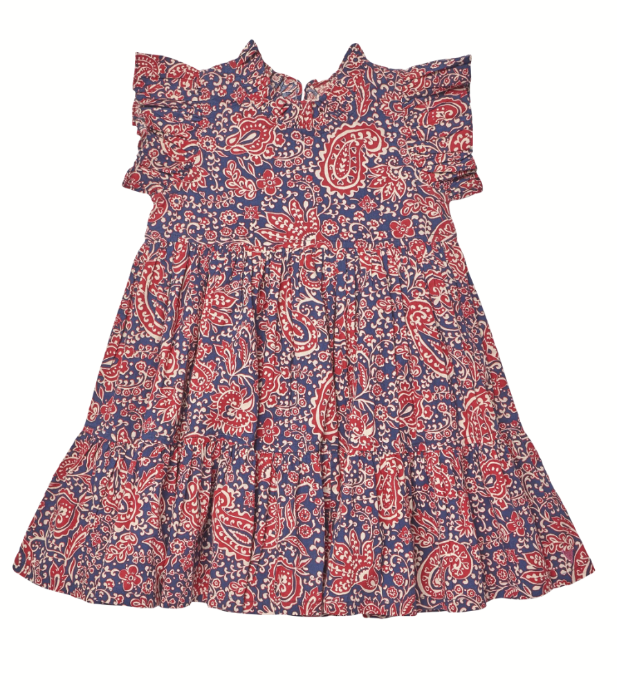 Paisley Vines Jennifer Dress