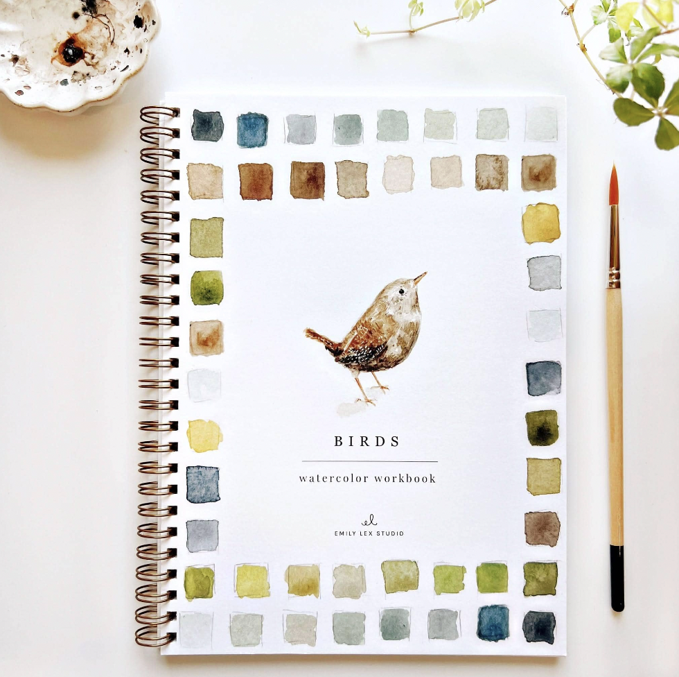 Birds Watercolor Workbook